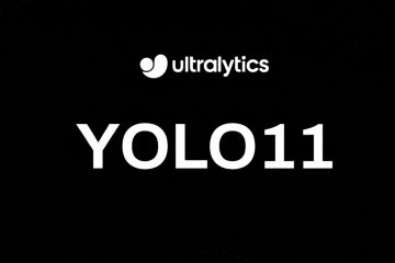Yolo11_icon